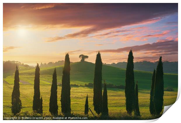 Landscape in Maremma. Cypresses and Rolling hills. Tuscany Print by Stefano Orazzini