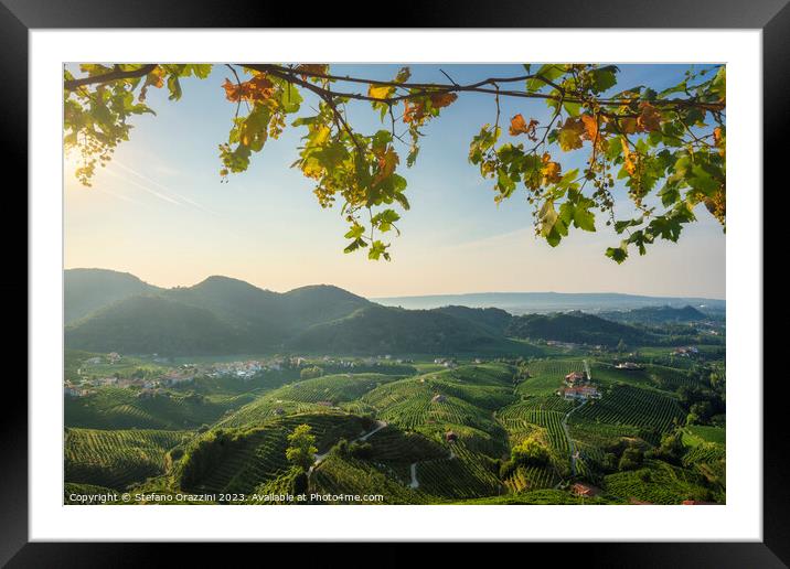 Prosecco Hills, vineyards panorama. Italy Framed Mounted Print by Stefano Orazzini