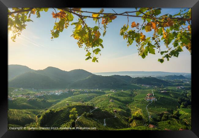 Prosecco Hills, vineyards panorama. Italy Framed Print by Stefano Orazzini