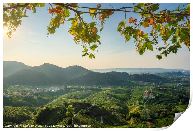 Prosecco Hills, vineyards panorama. Italy Print by Stefano Orazzini