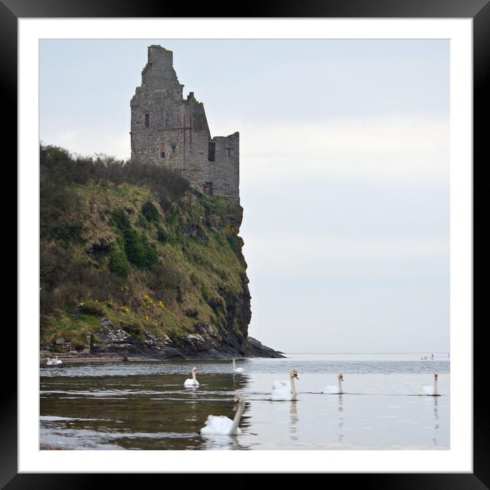Swans at Greenan Castle, Ayr Framed Mounted Print by Allan Durward Photography