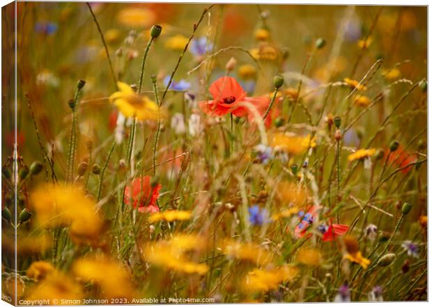 Plant flower Canvas Print by Simon Johnson