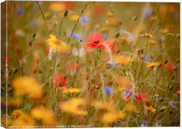 Plant leaves Canvas Print by Simon Johnson