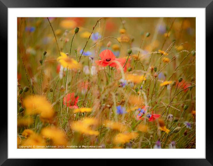 Plant leaves Framed Mounted Print by Simon Johnson