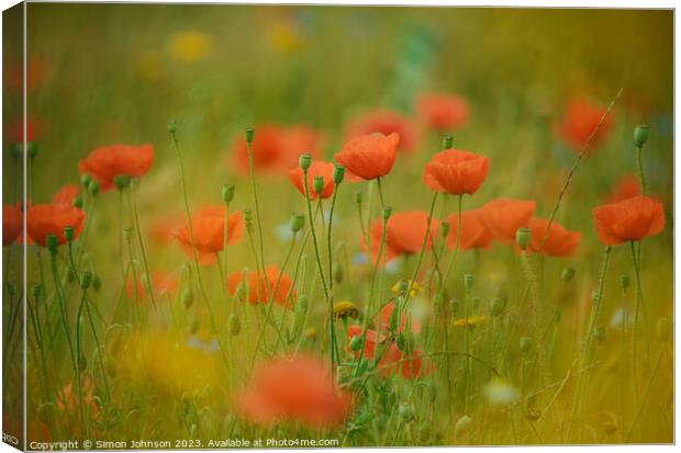 Poppies soft focus Canvas Print by Simon Johnson