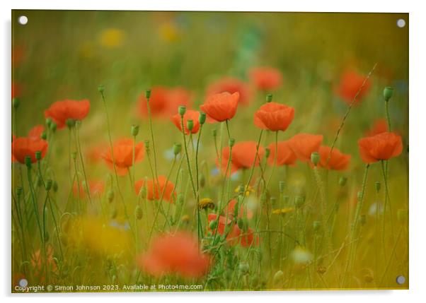 Poppies soft focus Acrylic by Simon Johnson