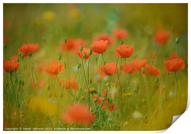 Poppies soft focus Print by Simon Johnson