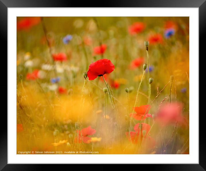 Poppy flower Framed Mounted Print by Simon Johnson