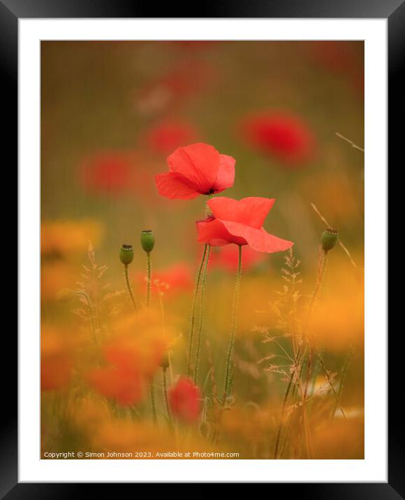 Two Poppies (soft focus) Framed Mounted Print by Simon Johnson