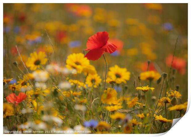 Outdoor field Print by Simon Johnson