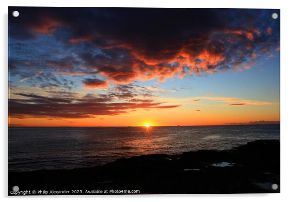 Sunrise at Avoca Beach Acrylic by Philip Alexander