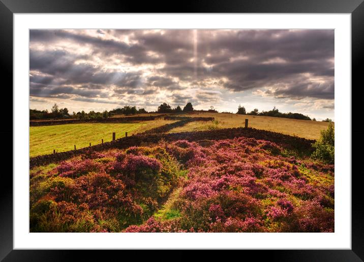 Otley Chevin Framed Mounted Print by Alison Chambers