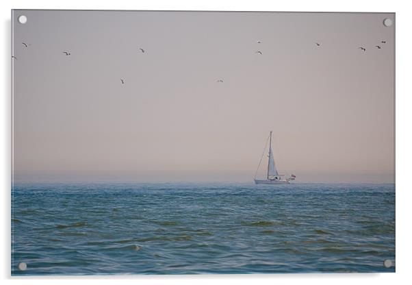 Plain Sailing Acrylic by Robert Coffey