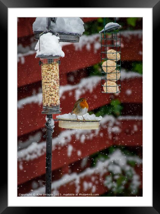 Robin on a Snow Covered Bird Feeder Framed Mounted Print by RJW Images