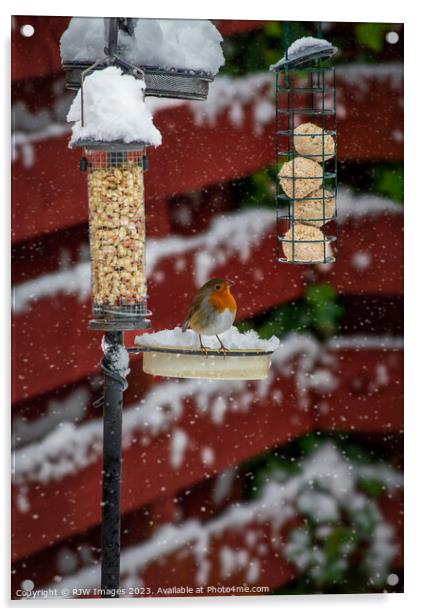 Robin on a Snow Covered Bird Feeder Acrylic by RJW Images