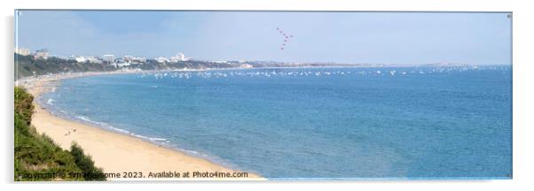 Bournemouth Air show - Red Arrows Display Team Acrylic by Jim Newsome