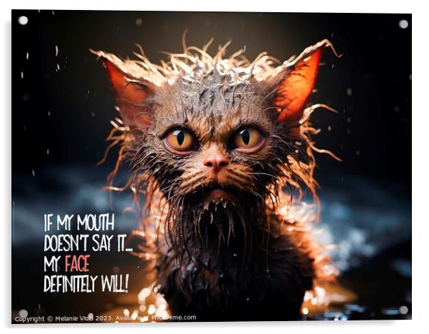 FUNNY CAT Angry Look Acrylic by Melanie Viola