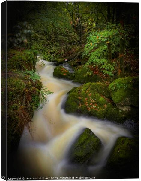 Forest Waterfall Cumbria Canvas Print by Graham Lathbury