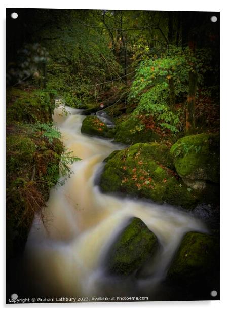 Forest Waterfall Cumbria Acrylic by Graham Lathbury