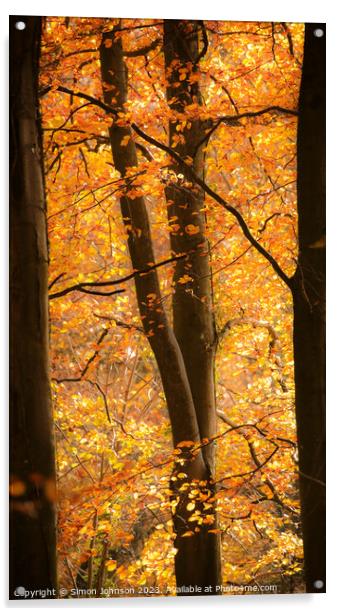  Through the beech trees Acrylic by Simon Johnson