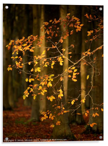 Sunlit Autumn Leaves  Acrylic by Simon Johnson