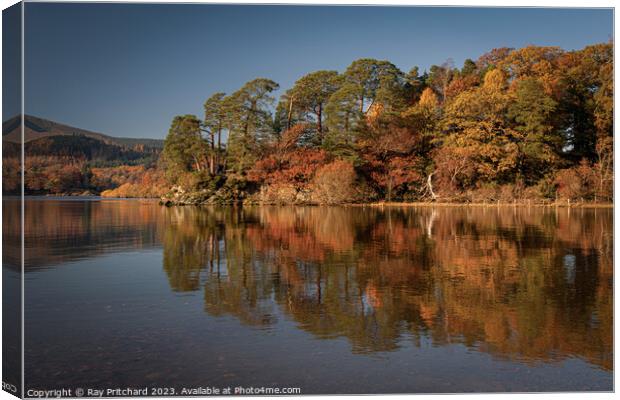 Friars Crag Canvas Print by Ray Pritchard
