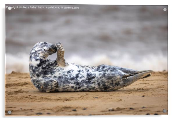 Winterton on Sea Grey Seal Acrylic by Andy Salter
