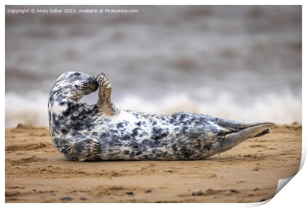 Winterton on Sea Grey Seal Print by Andy Salter