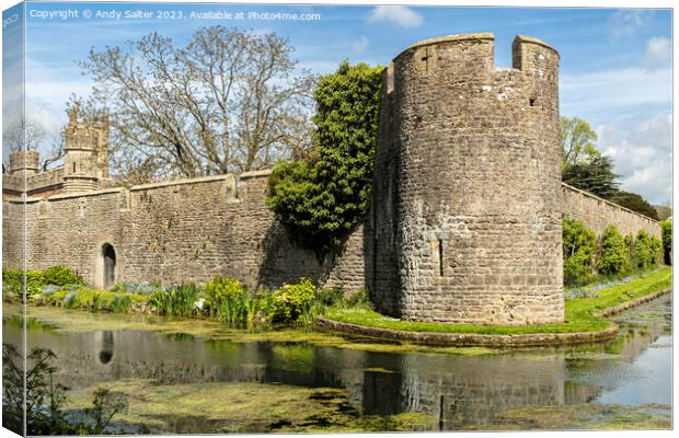 The Bishops Palace and Gardens Wells Somerset Canvas Print by Andy Salter