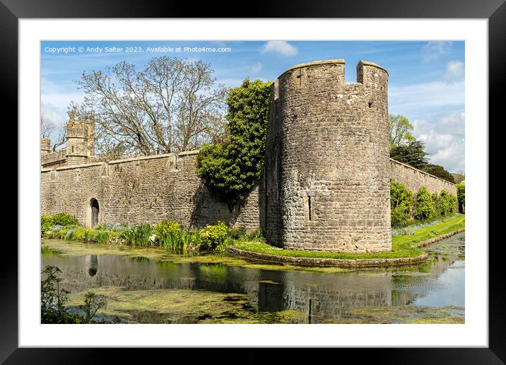 The Bishops Palace and Gardens Wells Somerset Framed Mounted Print by Andy Salter