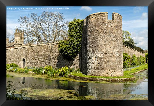 The Bishops Palace and Gardens Wells Somerset Framed Print by Andy Salter