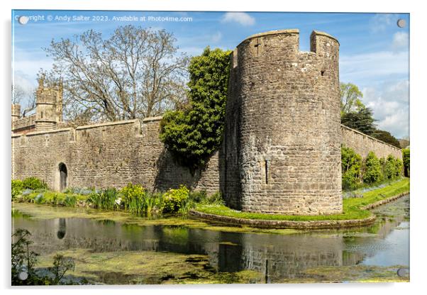 The Bishops Palace and Gardens Wells Somerset Acrylic by Andy Salter