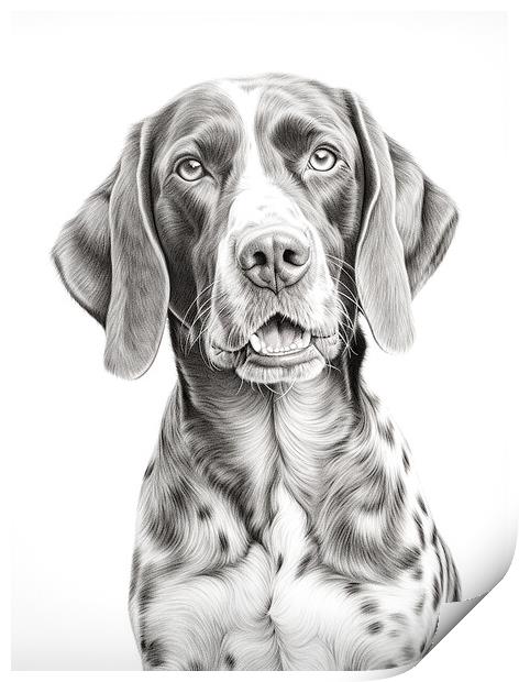 German Shorthaired Pointer Pencil Drawing Print by K9 Art