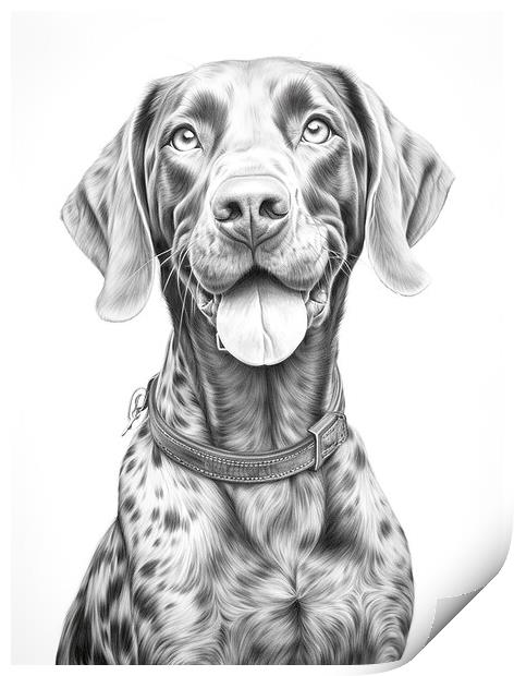 German Shorthaired Pointer Pencil Drawing Print by K9 Art
