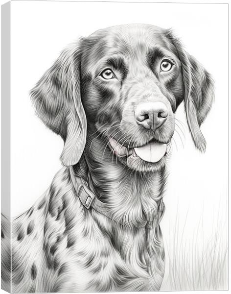 German Shorthaired Pointer Pencil Drawing Canvas Print by K9 Art