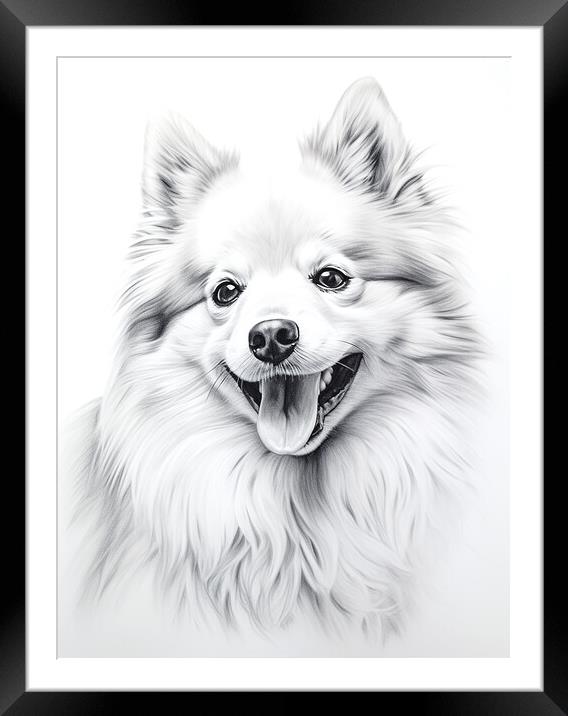 German Spitz Pencil Drawing Framed Mounted Print by K9 Art