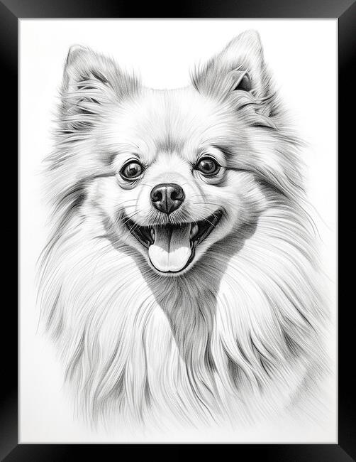 German Spitz Pencil Drawing Framed Print by K9 Art