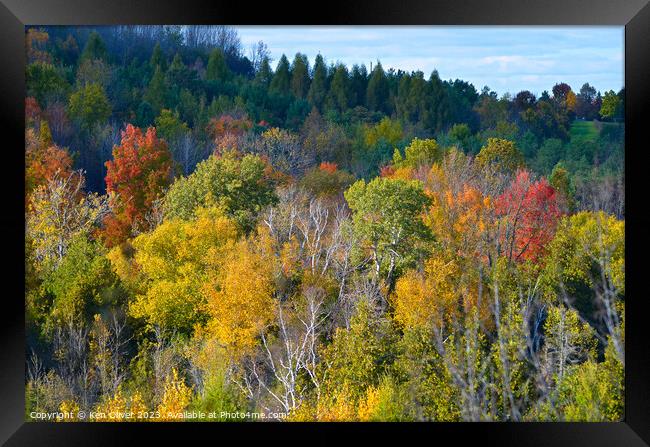 Autumn Colors Shining Bright Framed Print by Ken Oliver