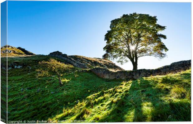 Sycamore Gap, Hadrian's Wall, Northumberland Canvas Print by Justin Foulkes