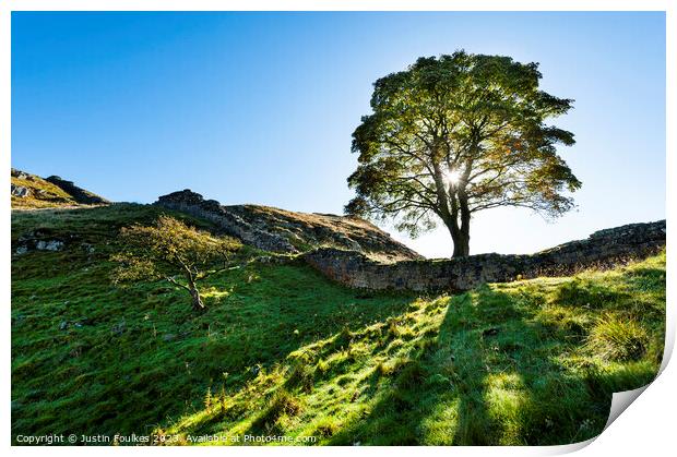 Sycamore Gap, Hadrian's Wall, Northumberland Print by Justin Foulkes