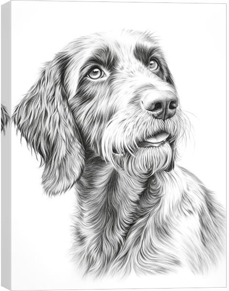 German Wirehaired Pointer Pencil Drawing Canvas Print by K9 Art