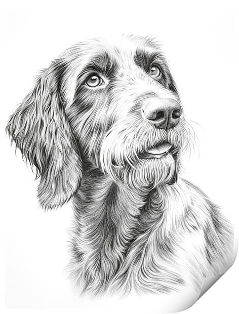 German Wirehaired Pointer Pencil Drawing Print by K9 Art