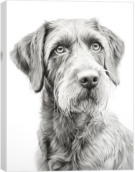 German Wirehaired Pointer Pencil Drawing Canvas Print by K9 Art
