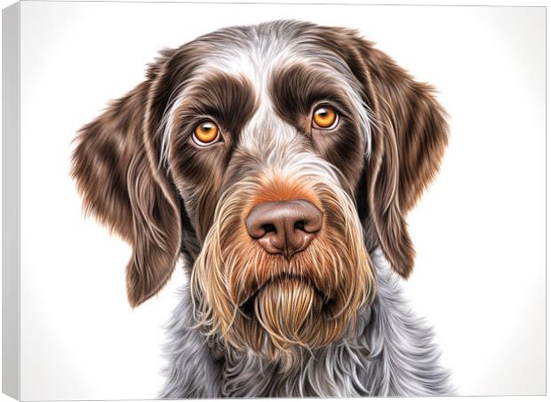 German Wirehaired Pointer Pencil Drawing Canvas Print by K9 Art