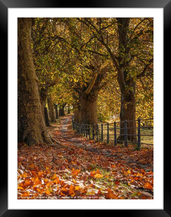 Fall mood photo of cotswold city Bath in Autumn Framed Mounted Print by Rowena Ko