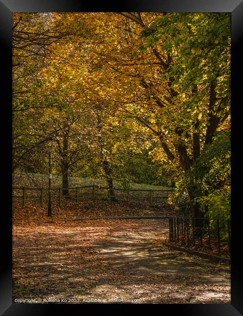 Fall mood photo of cotswold city Bath in Autumn Framed Print by Rowena Ko