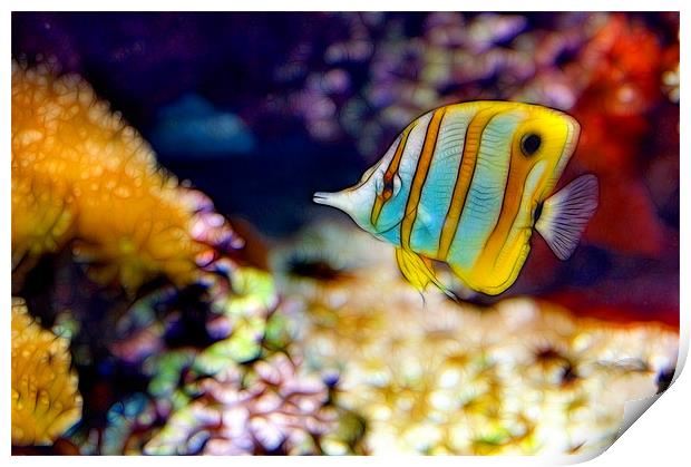Butterfly Fish Print by Kathleen Stephens