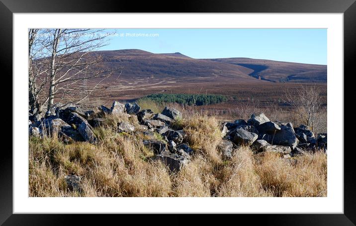 Ben Rinnes from old ruined croft Framed Mounted Print by Phil Banks