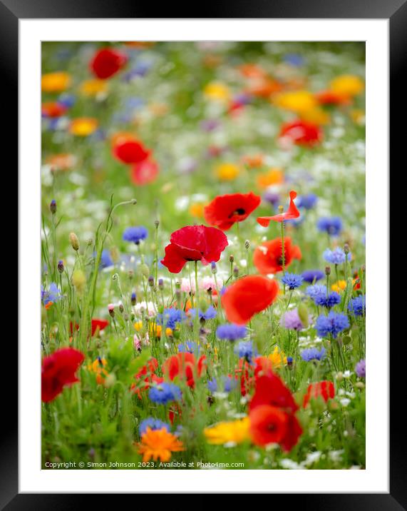 poppies and meadow flowers  Framed Mounted Print by Simon Johnson