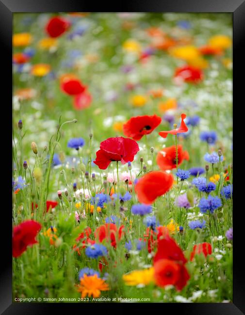 poppies and meadow flowers  Framed Print by Simon Johnson